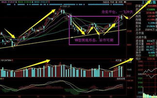 帮我看看002131的利欧股份最近几天是否还有大涨的趋势啊？谢谢了~~