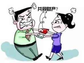 婚后,女方自己出钱买房,离婚时,算共同财产么,男方会分得么 