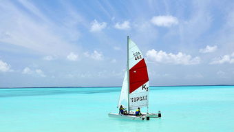 马尔代夫旅游神仙珊瑚马尔代夫人口和面积是多少（马尔代夫是印度洋上1200余个小珊瑚岛）