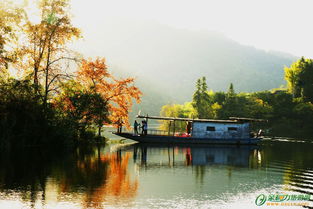 二三月份适合去哪里旅游 (23月适合去哪里旅游)