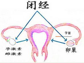 经量少怎么办？