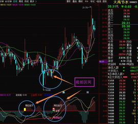 同花顺 股票app中，macd中 m d m 分别是什么意思