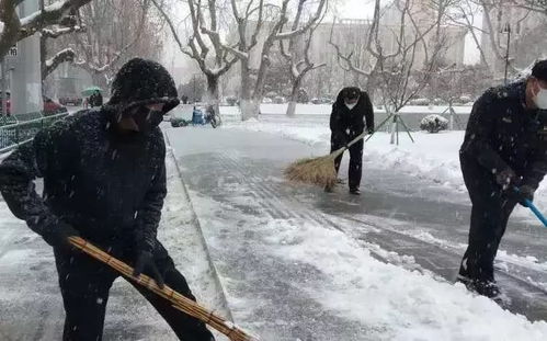 扫雪铲冰不放松 冰天雪地显真情