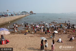 青岛迎旅游旺季 栈桥景区游客爆棚 