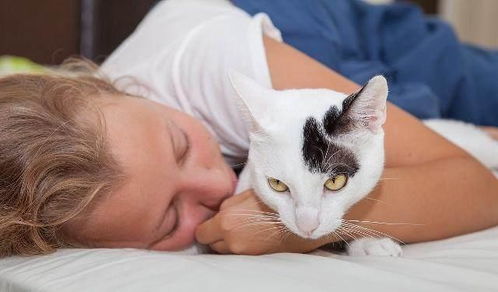 抱着猫咪一起睡觉有哪些利弊