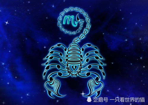 十二星座每周运势,8月17日至23日,狮子 天秤 天蝎 处女座