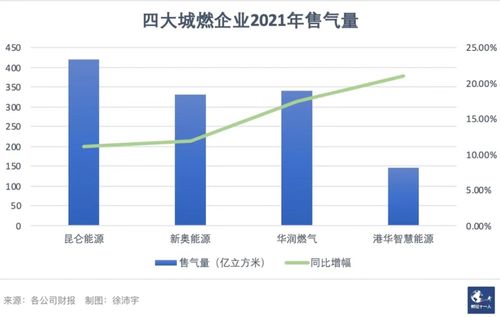 什么是企业的盈利能力，其重要性是什么？