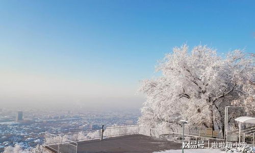 很容易东山再起的,为什么是摩羯座