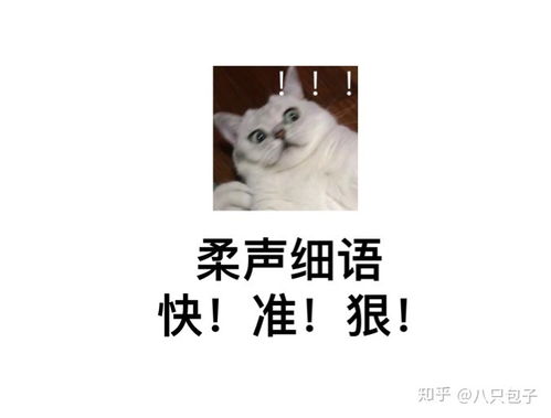 真的有必要给猫刷牙吗 