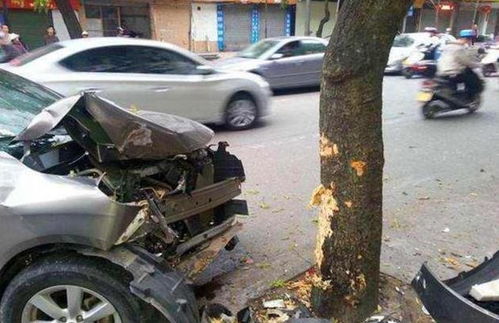 车子突然刹车失灵,撞树与撞墙谁更安全 记好了,选错命没了