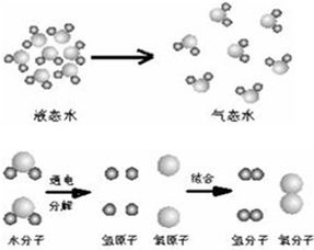 观察图.试从分子和原子的观点解释水受热变成水蒸气和水电解生成氢气和氧气有什么不同 题目和参考答案 青夏教育精英家教网 