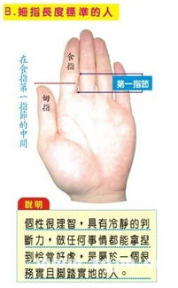 手指算命,手指长短判断一个人的个性
