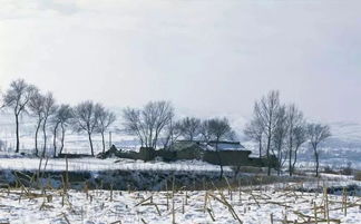 下雪后的赤峰,银装素裹 美的不像是人间... 