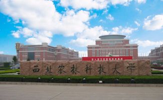 985大学自考院校有哪些,自考能报考的211和985院校有哪些？(图2)