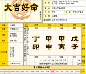 我儿子是2008年2月14日下午4点50左右出生的应该是什么命的, 