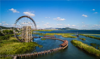 苏州太湖湖滨国家湿地公园停车场收费吗(洋湖湿地公园停车场免费吗)