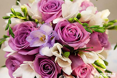 紫玫瑰花语,紫玫瑰花语是什么意思？