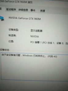 win10安装驱动不显示错误