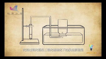 化学中催化剂的概念是什么