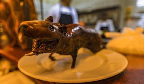 秘鲁把老鼠当美食天天吃,疑惑为什么中国人不爱吃,专家讲出原因