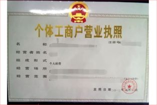 通过网店销售服装,办理营业执照经营范围怎么写 