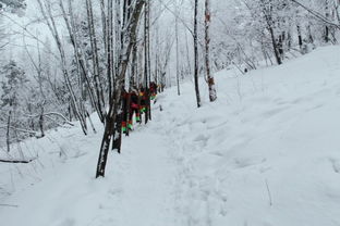 冬季恋歌 梦幻雪乡