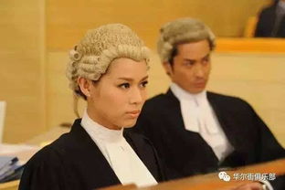 香港法官和律师的司法假发