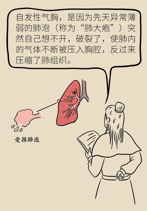 硬度与是否容易打碎无关