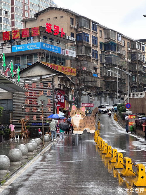 湖南长沙雨花侯家塘街道