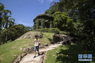 世界园林巡礼 巴西里约植物园 图片频道 