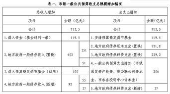 预算调整方案模板(预算调整计划)