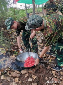 您想让孩子怎样度过一个快乐而又充实的暑假