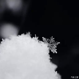 【东风雪铁龙温馨提示您雪天行车技巧 一分钟get!_长治东方汽车新闻资讯】-汽车之家