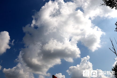 i东营 影像 你知道今天东营的云朵有几种姿态吗 