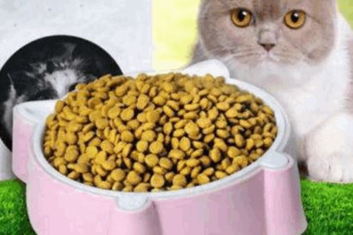 佩玛斯特的猫粮怎么样 