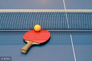 乒乓球运动是一项适应于多种人群锻炼的运动项目