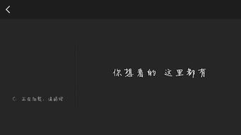 用百度视频下载电视剧 已经下载完成了 怎么还是不能看 点开就出现这个界面 我手机是步步高y2 