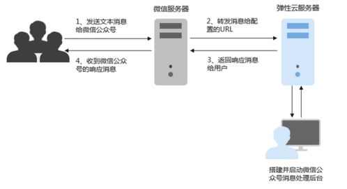 云服务器是什么 到底有什么用吗   (四线路云服务器的概念)