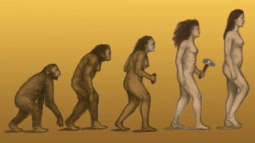 人类祖先 和现代人有哪些差别 科学家 外貌很明显