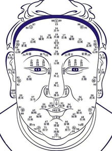 面相好的人运气总之不会太差 搜狐 