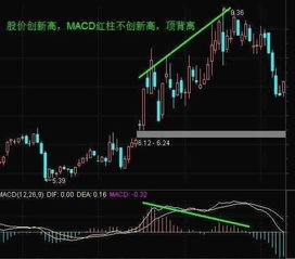 有期货会用MACD的专家，请问MACD是怎么设置的，我的MACD怎么就一条线？