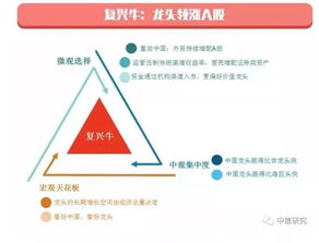 什么是一线证券公司