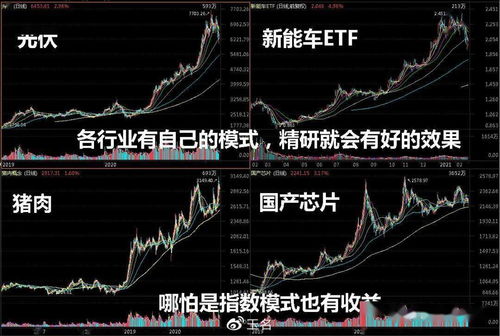 请问股票高手龙头股是怎么界定的？F10行业分析里面有按总资产、主营收入、净利润增长率等等排名的，里面的