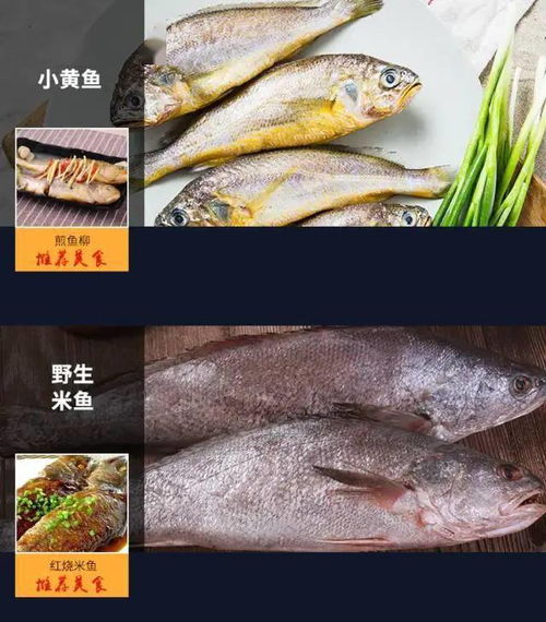 吞拿鱼，吞拿鱼(一种常见的海产品)