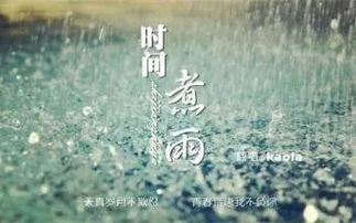 时间煮雨(时间煮雨论坛资源视频)