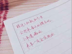 练字经验分享 最适合大学生练习的字帖和字体