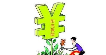 保险分红怎么算