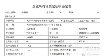 企业所得税汇算清缴时股东经济性质如何填