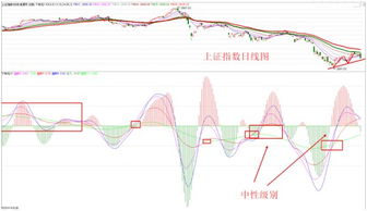 8月2日周期看盘 大小周期循环会告诉你怎么做