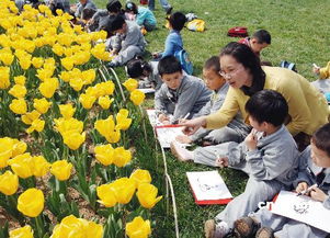 踏青野外成童年梦想 怕出事学校组织操场 春游 